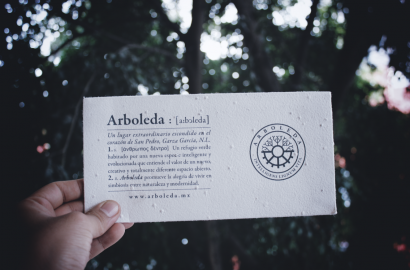 Proyecto Arboleda